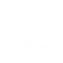 CalmCode logo