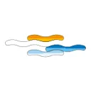 Koninklijk Nederlands Watersportverbond logo