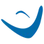 COAS Software Systems logo