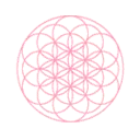 the flower of life logo