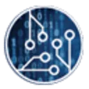 DIS International logo