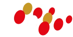 Capital Partners Brabant logo