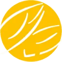 CHICOSEM BV logo