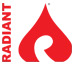 Radiant Systems BV logo