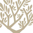 Huygens logo
