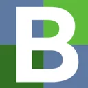 Bigger Picture AND company logo