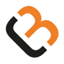 Burink Constructie Adviesbureau logo