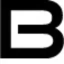 BIZDRIVE Business Taxi Rotterdam logo