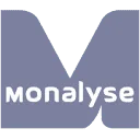 Monalyse Media Monitoring logo