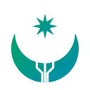 Caspian International Travel Company logo