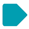 BRUIS advies logo