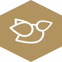 Honeyguide logo