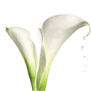 Fornet logo