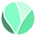 Spruit Digital logo