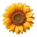 getbindu.com logo