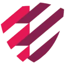 New Security Vision logo