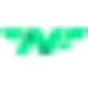 The Night Flight logo