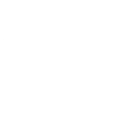 Bunnik Bromelia logo