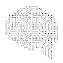 INTENSE Project logo