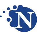 Nemesys ICT Groep logo