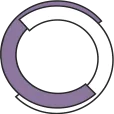 Stichting RING-GV logo