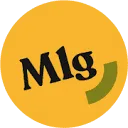 Lier Consultancy B.V. logo