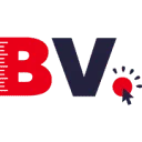 BrandVista logo