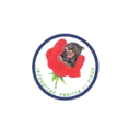 SV-Audit B.V. logo