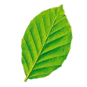 PKG Bedrijfspsychologen B.V. logo