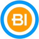 Bright Intelligence logo