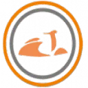 Ves-Parts.com logo