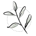 Green Bubble B.V. logo