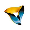 Savant Zorg logo