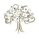 Zein Academy logo