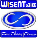 WiseNTebike logo