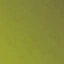 DDFILM Amsterdam logo