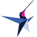Blue Star Planning B.V. logo