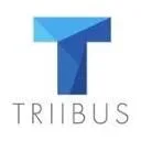TRIIBUS Consultancy BV logo