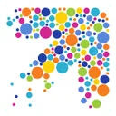 Logo van Direction in Leiderschap en Diversiteit