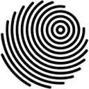 IDEIS logo