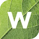 Witteveen groenprojecten en advies logo