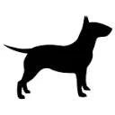 iizt logo