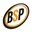 BSP International logo