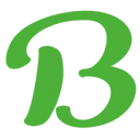 BIOnyx logo