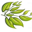 Rijk Tuinen logo