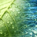 Logo van Janse Berkhof Tuinen