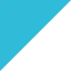 The Footprinters logo