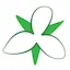 Trillium Klinische Fysica logo