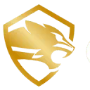 Cheetah Security logo