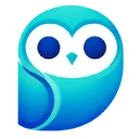 Anderszo logo